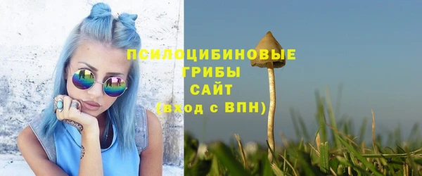 2c-b Алзамай