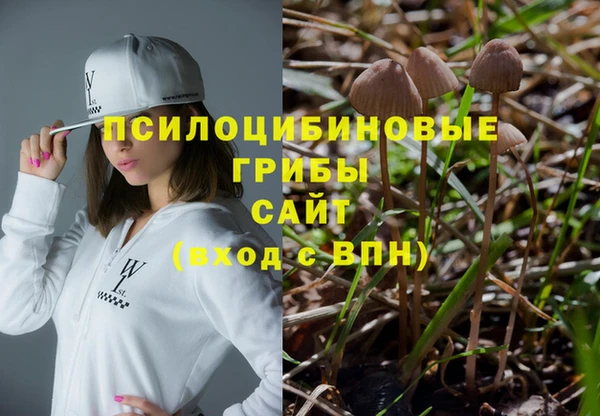 гидропоника Алексеевка