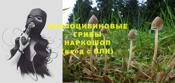 винт Алексин