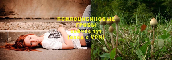 гидропоника Алексеевка