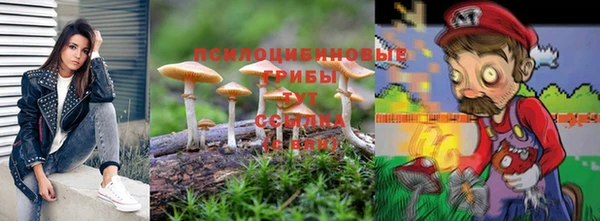 гидропоника Алексеевка